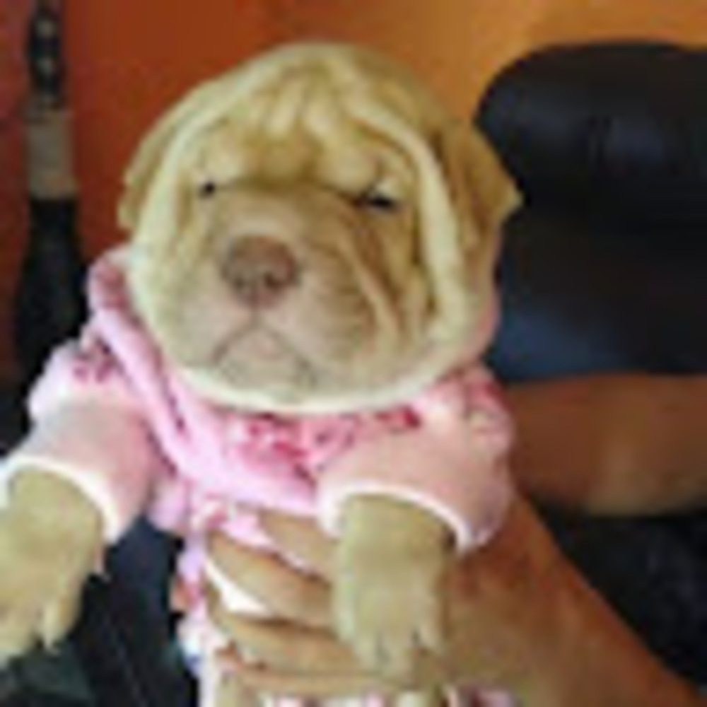 Meet your Posher, Mary